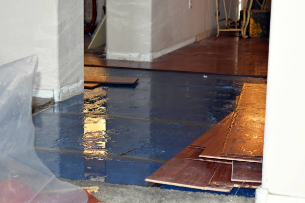 Professional Water Damage Restoration technician working in Mertens, TX